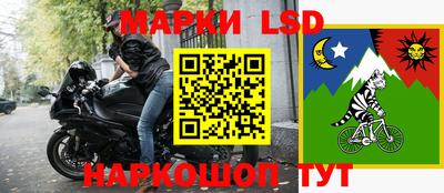 бошки Гатчина